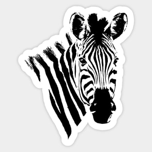 Zebra Close-up | African Wildlife Sticker